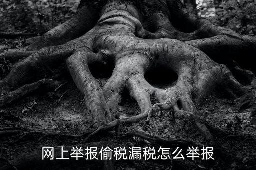 如何網(wǎng)上稅務(wù)舉報，網(wǎng)上舉報偷稅漏稅怎么舉報