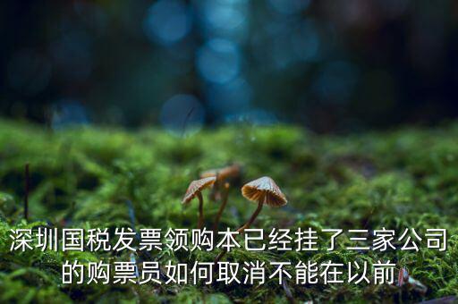 如何取消稅務(wù)局購票人，國稅如何刪除購票人