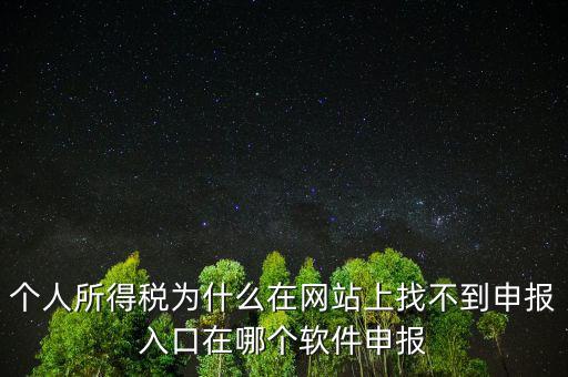 自然人如何申報，請問小規(guī)模個人所得稅在哪里申報怎么申報呢