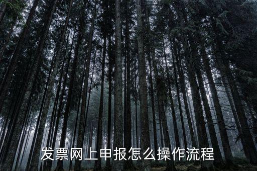 如何國(guó)稅局網(wǎng)上申請(qǐng)開(kāi)票，如何登錄稅務(wù)網(wǎng)上開(kāi)票