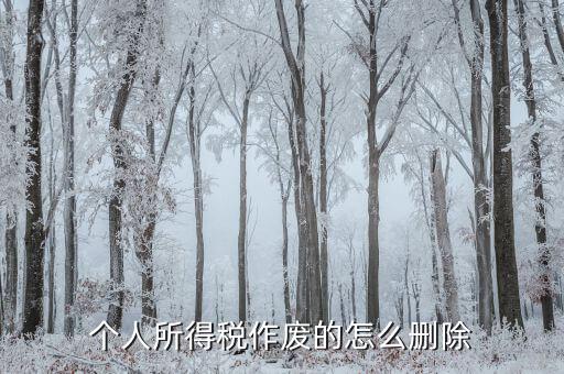 如何刪除已審核的地稅報表，已遞上的地稅網(wǎng)上財務報表系統(tǒng)的報表能否刪除
