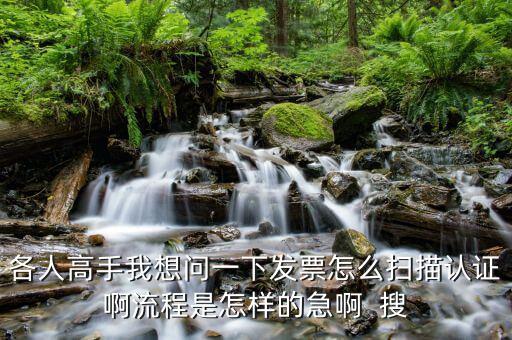 如何使用掃描儀認(rèn)證發(fā)票嗎，各人高手我想問一下發(fā)票怎么掃描認(rèn)證啊流程是怎樣的急啊  搜