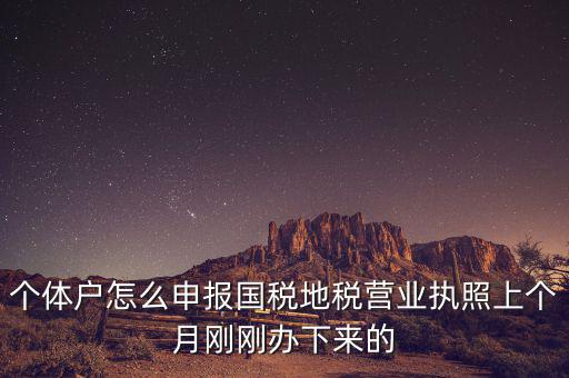 個(gè)體定額如何申報(bào)國稅，個(gè)體戶如何申報(bào)國稅和地稅