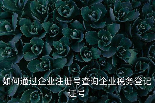 如何通過企業(yè)注冊號(hào)查詢企業(yè)稅務(wù)登記證號(hào)