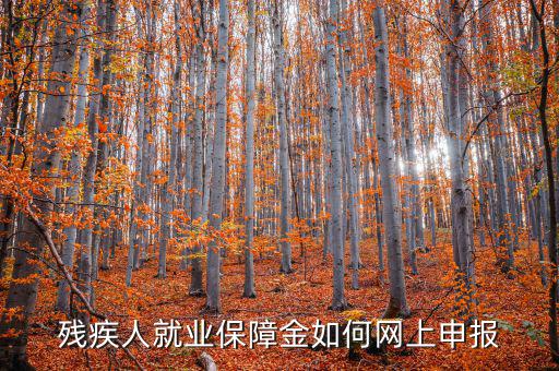 安徽殘疾人保障金如何網(wǎng)上申報(bào)，殘疾人就業(yè)保障金如何網(wǎng)上申報(bào)