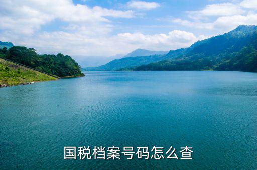 如何查地稅檔案，國(guó)稅檔案號(hào)碼怎么查