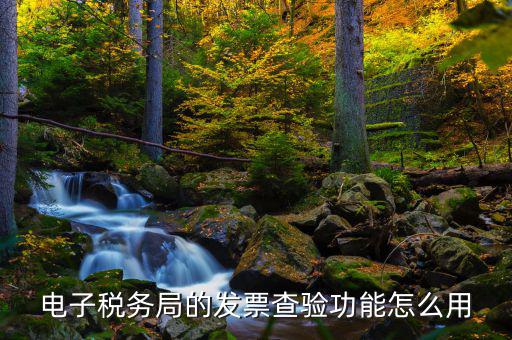 地稅的電子稅票如何查詢，電子稅務(wù)局的發(fā)票查驗功能怎么用