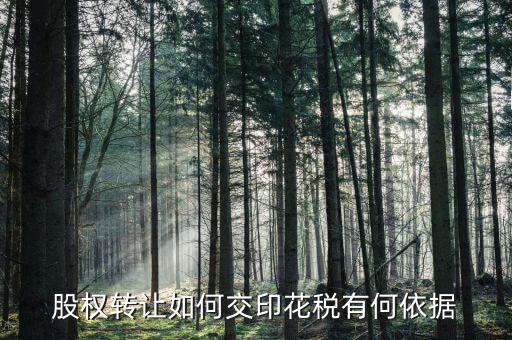 資產(chǎn)轉(zhuǎn)讓如何交印花稅，股權(quán)轉(zhuǎn)讓如何交印花稅有何依據(jù)
