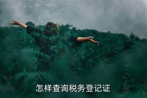 重慶稅務(wù)登記表網(wǎng)上如何查詢，稅務(wù)登記證查詢