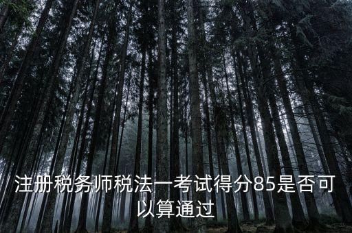注冊(cè)稅務(wù)師稅法一考試得分85是否可以算通過(guò)