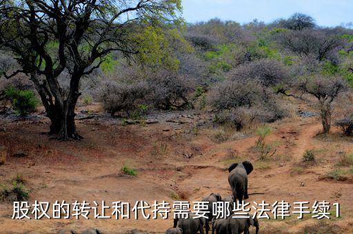 轉(zhuǎn)讓代持股如何轉(zhuǎn)讓，代持股可以轉(zhuǎn)賣嗎