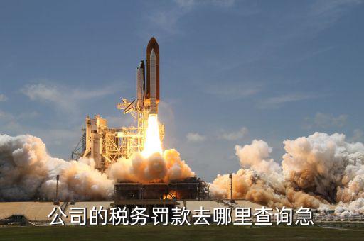 如何查稅收罰款，公司的稅務罰款去哪里查詢急