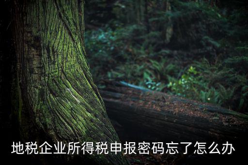 南京地稅密碼如何重置，個(gè)人所得稅忘記密碼之后如何進(jìn)行重置呢