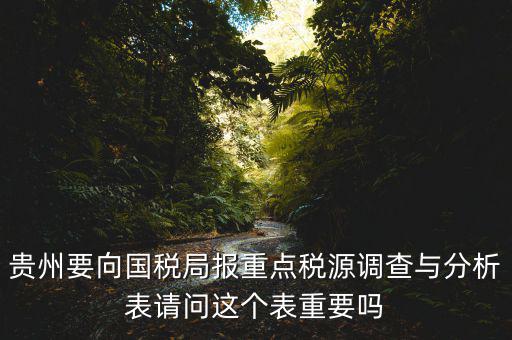 貴州要向國(guó)稅局報(bào)重點(diǎn)稅源調(diào)查與分析表請(qǐng)問(wèn)這個(gè)表重要嗎