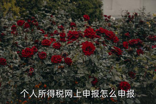 福建個(gè)人納稅如何申報(bào)，個(gè)人所得稅網(wǎng)上申報(bào)怎么申報(bào)