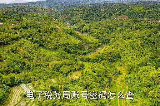 國稅賬戶如何查詢系統(tǒng)，電子稅務(wù)局賬號密碼怎么查