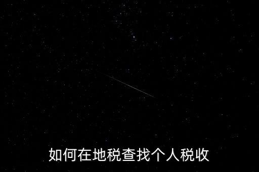 地稅局如何查個人所得稅，如何在地稅查找個人稅收