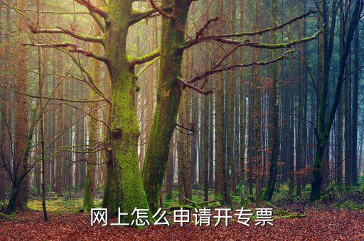 網上怎么申請開專票