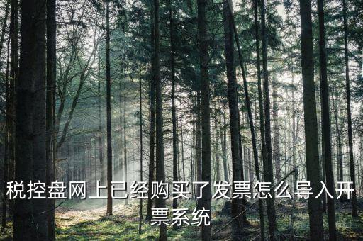 稅控盤網(wǎng)上已經(jīng)購(gòu)買了發(fā)票怎么導(dǎo)入開(kāi)票系統(tǒng)