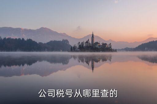 企業(yè)稅號如何查詢，公司稅號從哪里查的