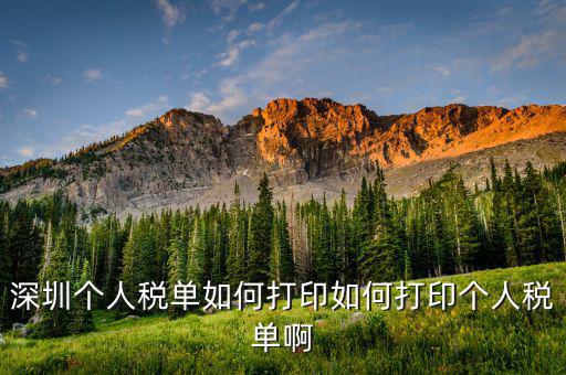 深圳網(wǎng)上如何打印稅單，怎樣在網(wǎng)上打印稅單我是深圳寶安區(qū)的