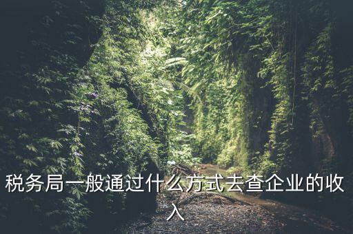稅務(wù)如何統(tǒng)計(jì)收入，小規(guī)模增值稅季報在哪里統(tǒng)計(jì)收入