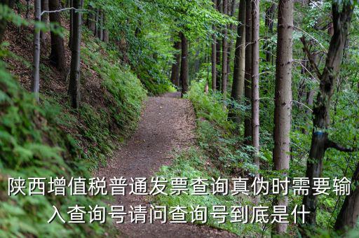 陜西省普通發(fā)票如何查詢系統(tǒng)，陜西國稅發(fā)票查詢號是做什么的