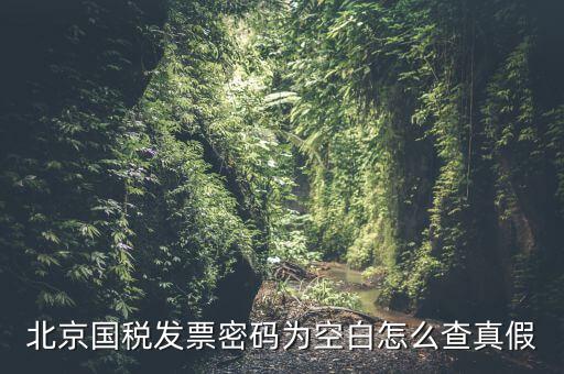 北京國(guó)稅發(fā)票真?zhèn)稳绾尾樵儯本﹪?guó)稅發(fā)票密碼為空白怎么查真假