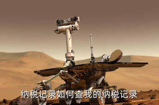 如何查詢交稅記錄，個人繳稅記錄怎么查詢