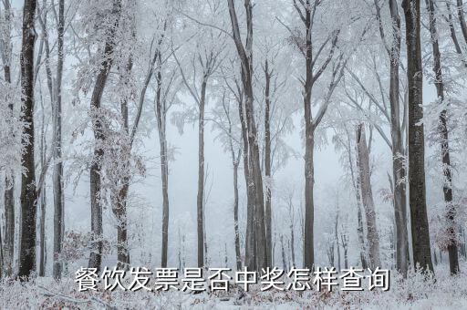 稅票中獎查詢?nèi)绾尾樵儯惋嫲l(fā)票是否中獎怎樣查詢