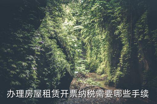 租房如何開增值稅專票，房屋租賃可以開增值稅專用發(fā)票嗎
