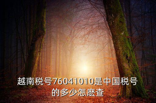 中國(guó)如何查個(gè)人稅號(hào)，越南稅號(hào)76041010是中國(guó)稅號(hào)的多少怎麼查