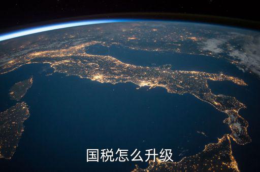 國稅怎么升級(jí)