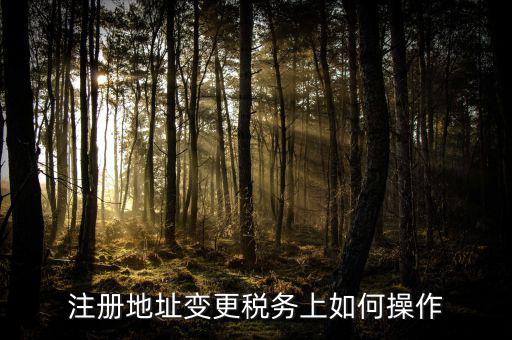 稅務(wù)官網(wǎng)地址如何變更，注冊(cè)地址變更稅務(wù)上如何操作