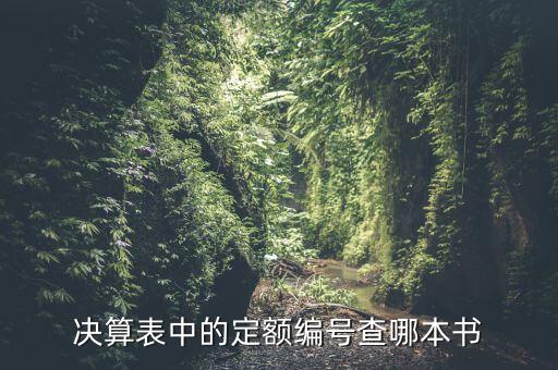 決算表中的定額編號(hào)查哪本書(shū)