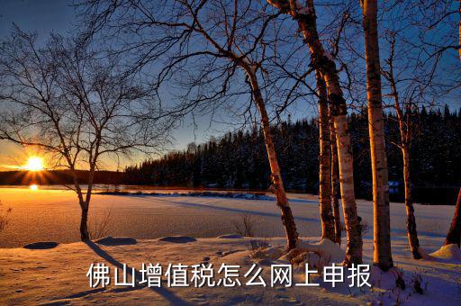 佛山地稅如何網(wǎng)上申報(bào)，佛山增值稅怎么網(wǎng)上申報(bào)