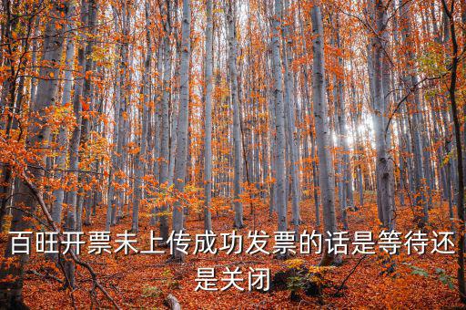 百旺未上傳發(fā)票如何上傳，百旺開票軟件怎么查詢發(fā)票是否已上傳