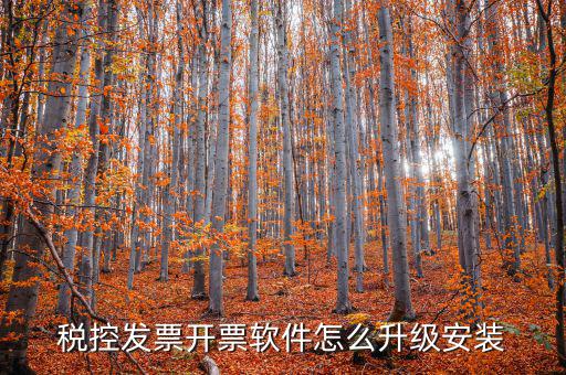 開票系統(tǒng)如何升級(jí)成品油軟件，稅率調(diào)整開票軟件如何升級(jí)