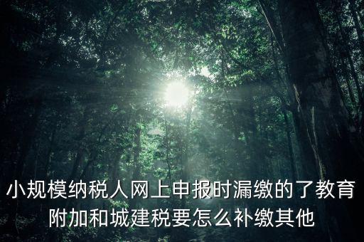 過了征期如何補(bǔ)交城建稅，請問城建稅忘記交怎么辦