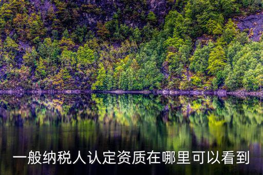 如何查看稅務(wù)資質(zhì)，一般納稅人認(rèn)定資質(zhì)在哪里可以看到