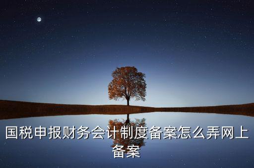 電子稅務(wù)局如何會(huì)計(jì)制度備案，2017年電子稅務(wù)局財(cái)務(wù)報(bào)表備案是不是可以馬上填寫