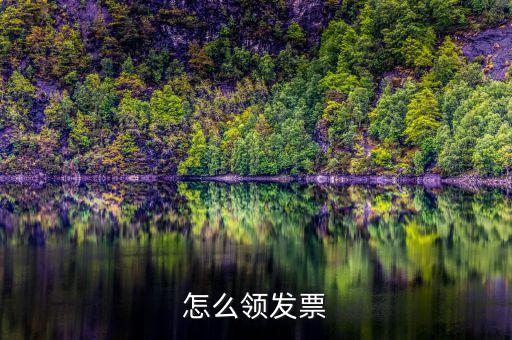 如何在網(wǎng)上領(lǐng)發(fā)票，怎樣領(lǐng)購(gòu)發(fā)票