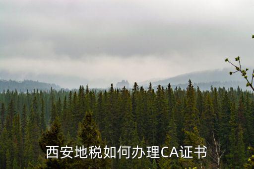 如何申請地稅ca證書，西安地稅如何辦理CA證書