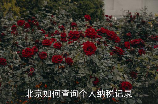 如何查詢北京國稅局納稅人狀態(tài)，如何進行北京市A級納稅人信用查詢