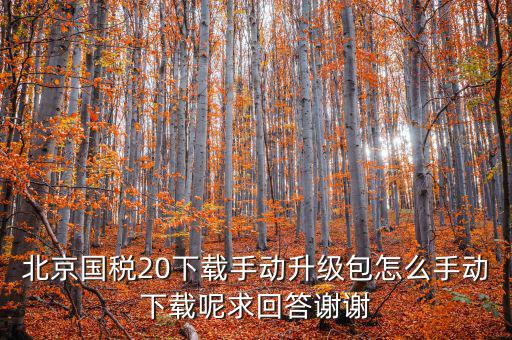 北京國稅20下載手動(dòng)升級(jí)包怎么手動(dòng)下載呢求回答謝謝