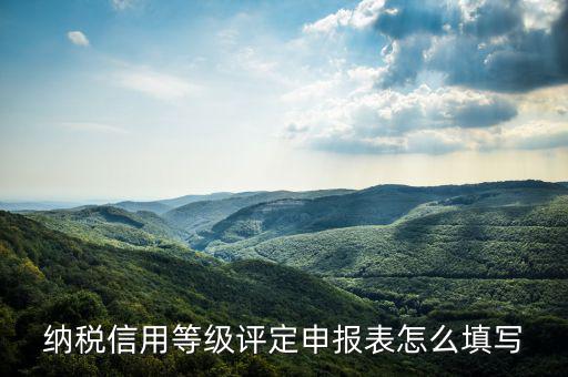 納稅信用等級(jí)評定申報(bào)表怎么填寫
