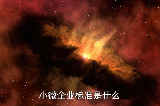泰州如何認(rèn)定小微企業(yè)，兼營營業(yè)稅應(yīng)稅項(xiàng)目怎樣界定是否可享受暫免征收部分小微企