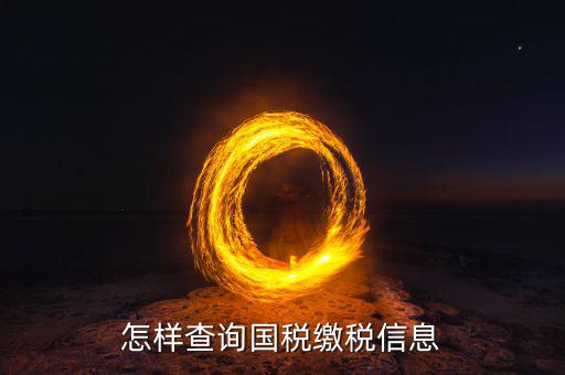 怎樣查詢(xún)國(guó)稅繳稅信息