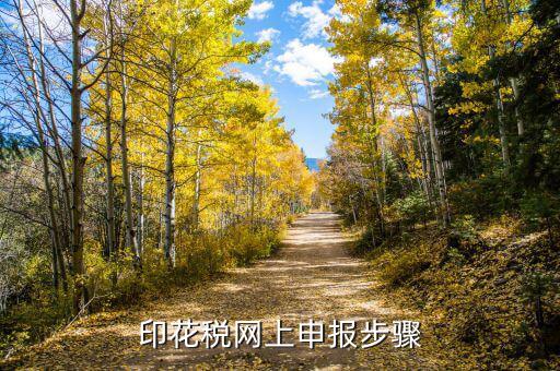 印花稅減半征收如何網上備案，六稅兩費印花稅減半怎么申報