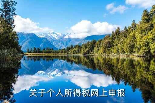 網(wǎng)上如何啟用個稅，如何打開個人所得稅申報表的明細